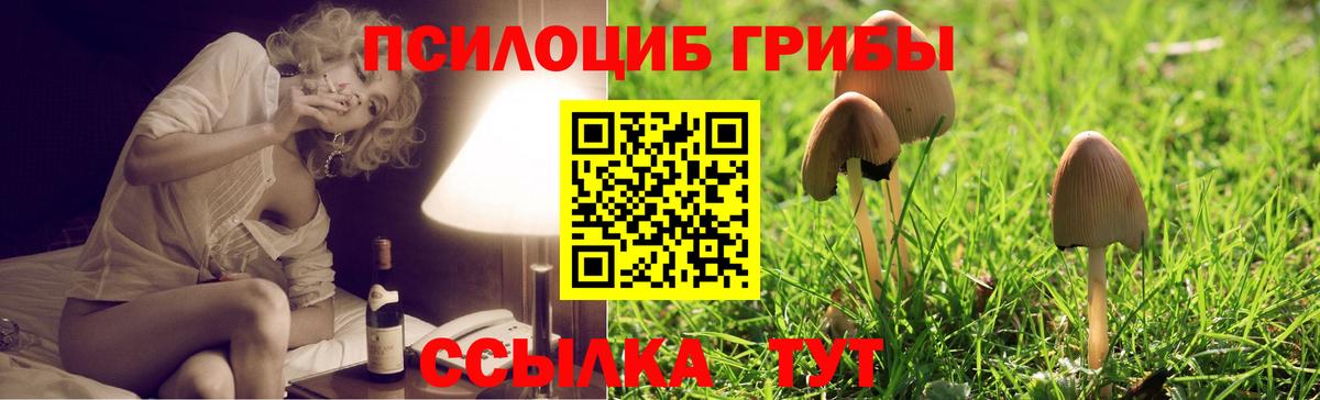 Галлюциногенные грибы прущие грибы  Вход с VPN  Ноябрьск 